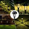 imageSOLPEX 8 Pack Solar Pathway Lights Solar Path Lights Waterproof Solar Garden Lights Outdoor for Garden Yard Pathway Landscape Walkway and Driveway Warm White8 Pack