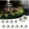 imageSOLPEX Solar Ground Lights 12 Pack Solar Lights Outdoor Waterproof 8 LED Solar Powered Landscape Lighting for Garden Yard Patio Pathway Driveway Walkway Cool WhiteWarm White