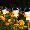 imageSOLPEX 8 Pack Solar Garden Lights Solar Lights Outdoor Waterproof Glass Stainless Steel Automatic Outdoor Solar Lights for Yard Lawn Patio Garden Path Walkway or DrivewayWarm White